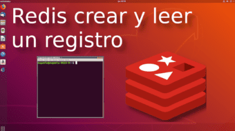 Redis crear y leer un registro desde terminal