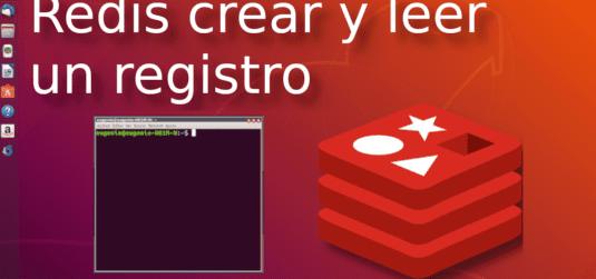 Redis crear y leer un registro desde terminal