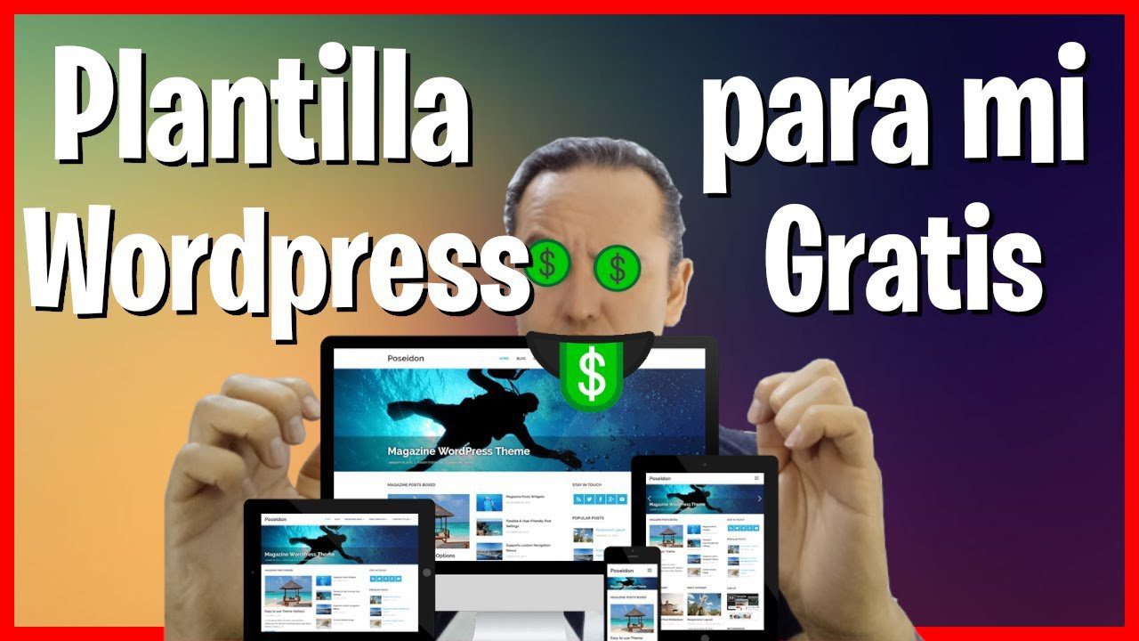 Programador Novato