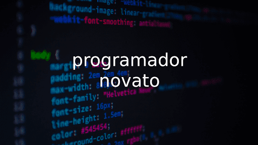 Programador Novato