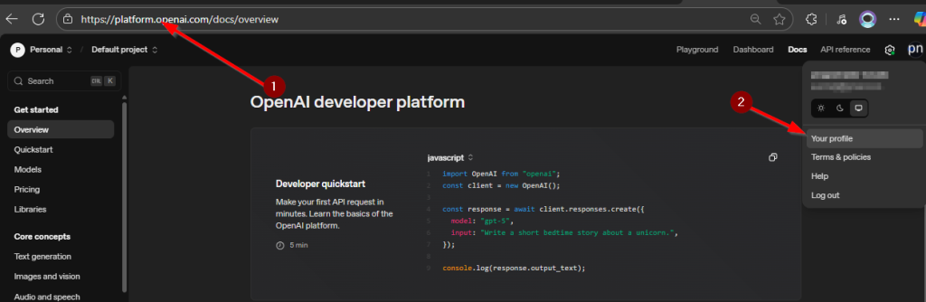 Vamos a Overview - OpenAI API , damos click en Your profile